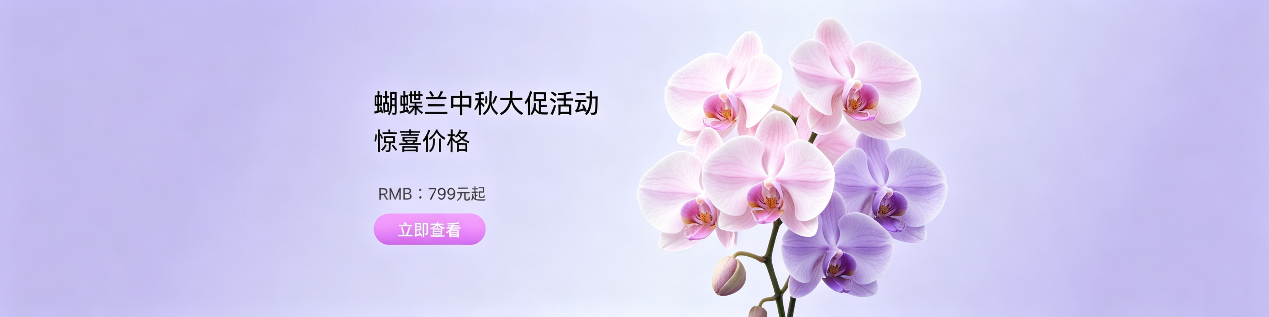 中秋大促开始啦